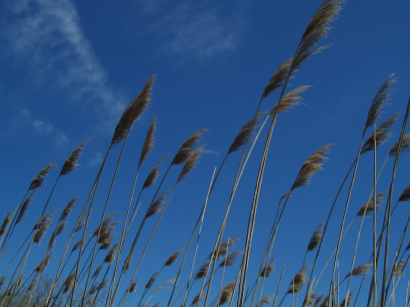 42036719755 Daa94c6e9e C