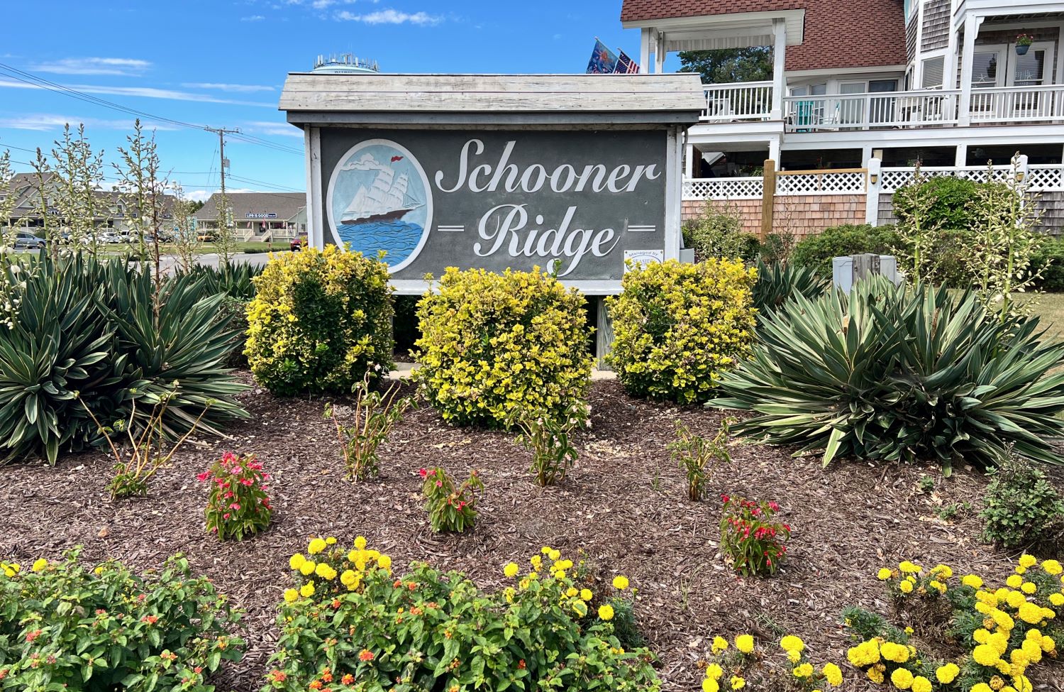 Schoonerridgesign