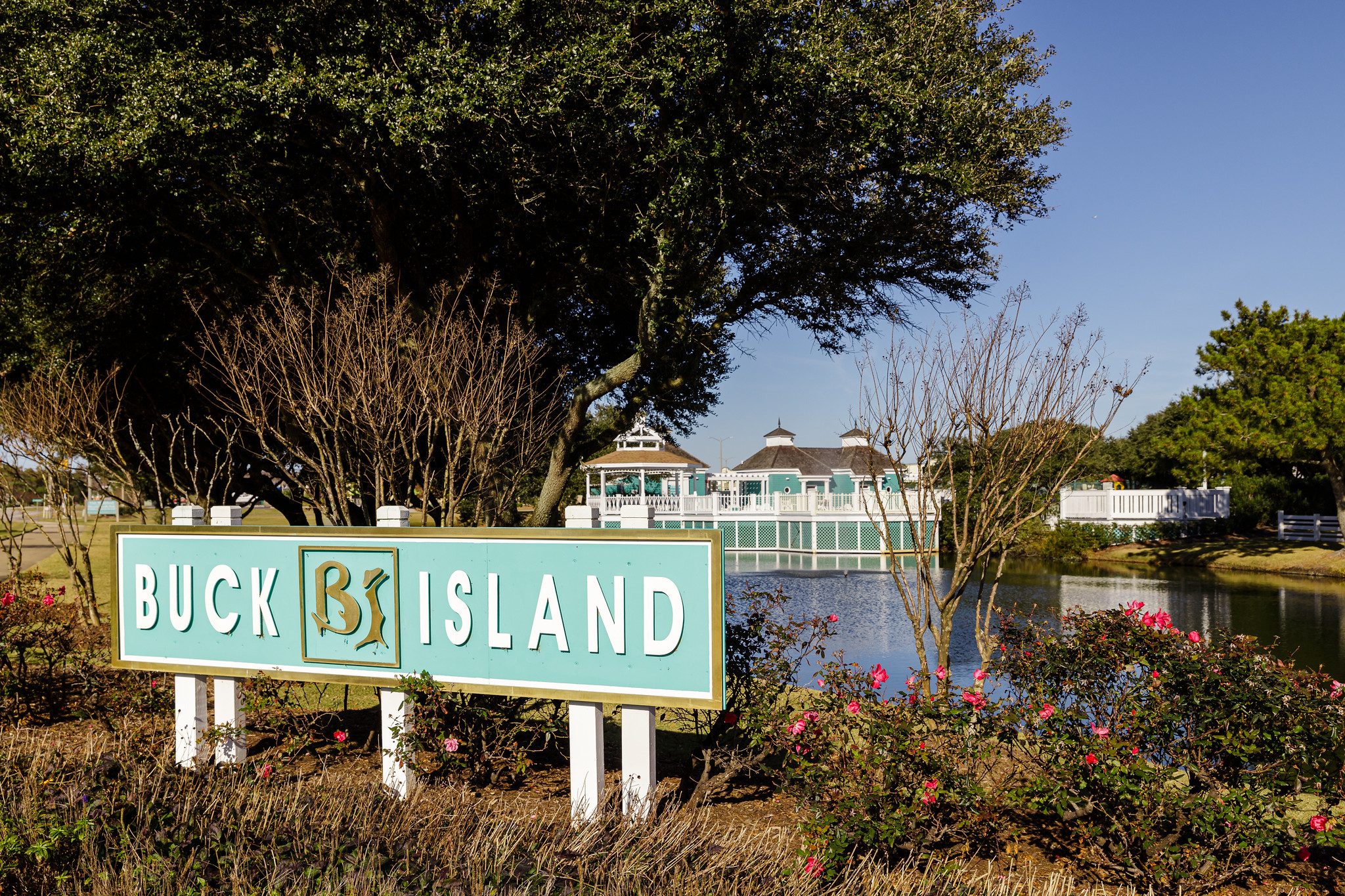 52545134645 D464b2e091 K