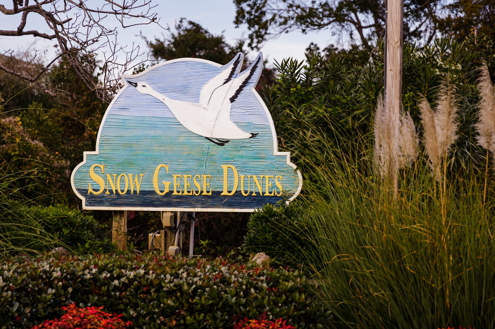 52546264278 7957C6ad82 K 2