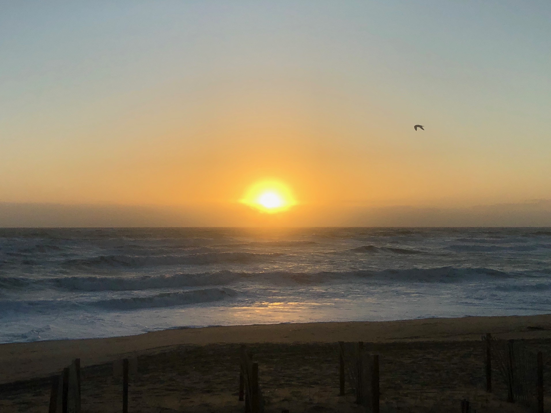 49829899347 1F824cedf3 K