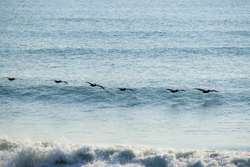 28434308397 F519465793 C