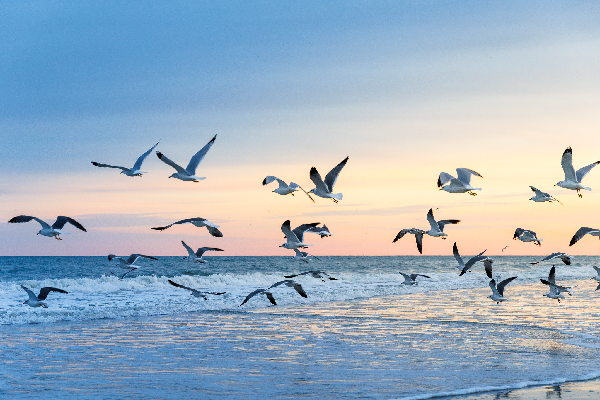 The OBX Comes Alive