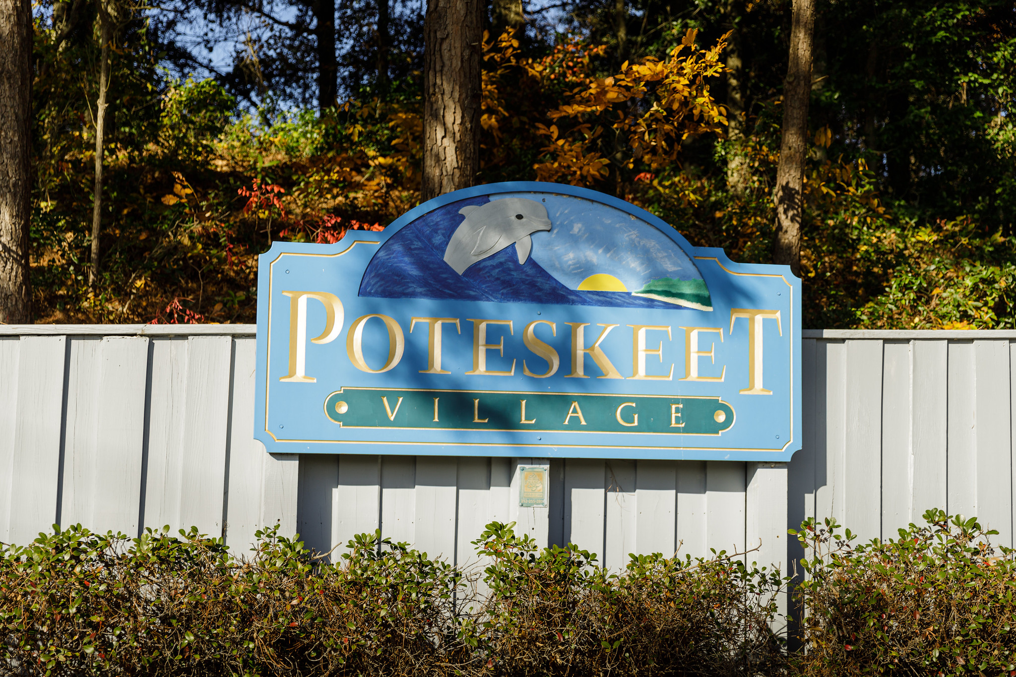 52544215892 382E866ed7 K