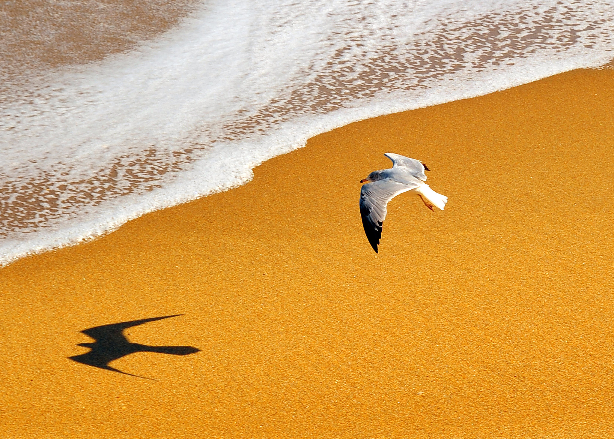 Outer Banks