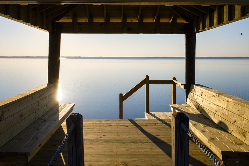 55089595102 43E98bfee9 C